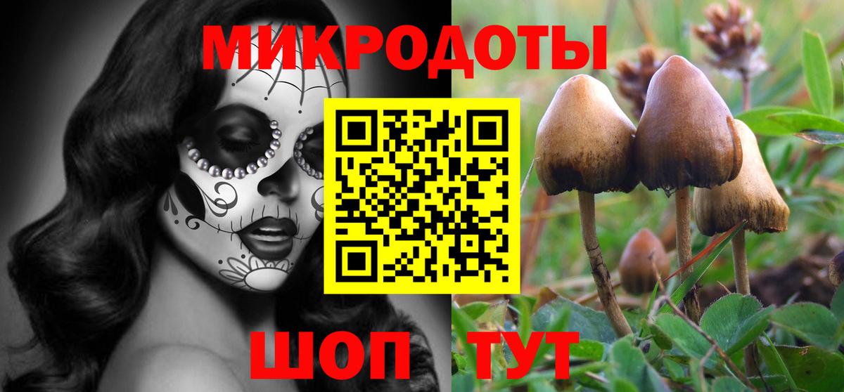 Галлюциногенные грибы MAGIC MUSHROOMS  продажа наркотиков  Серпухов  Вход с VPN 
